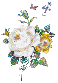 Roses graphics