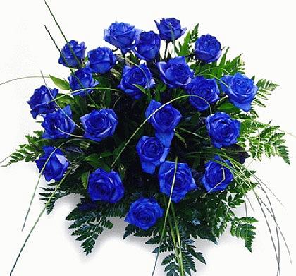 Roses graphics