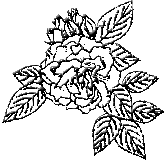 Roses graphics