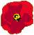 Roses graphics