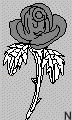 Roses graphics