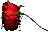 Roses graphics