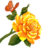 Roses graphics
