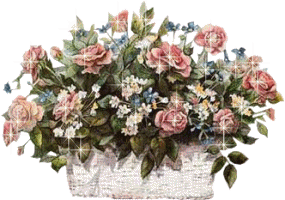 Roses graphics