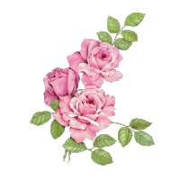 Roses graphics