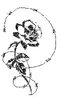 Roses graphics