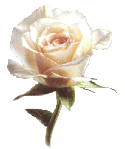 Roses graphics