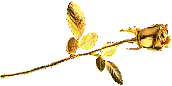 Roses graphics