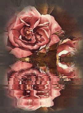 Roses graphics