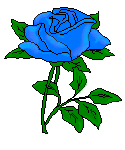 Roses graphics