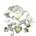 Roses graphics