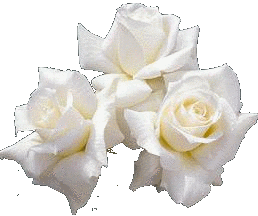Roses graphics