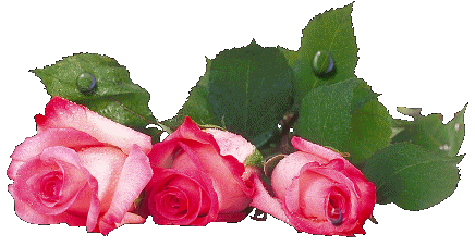 Roses graphics