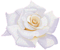 Roses graphics