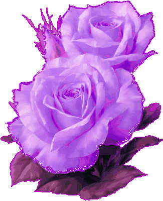 Roses graphics