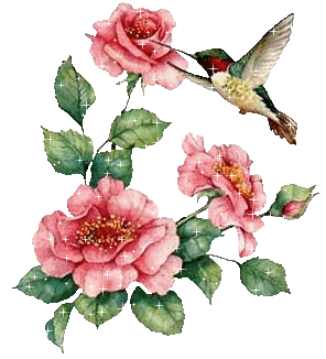 Roses graphics