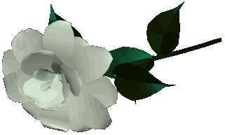 Roses graphics