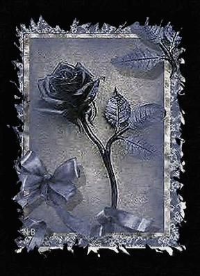 Roses graphics