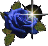 Roses graphics