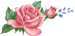 Roses graphics