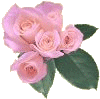 Roses graphics