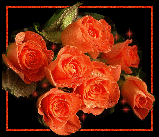 Roses graphics