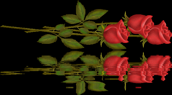 Roses graphics