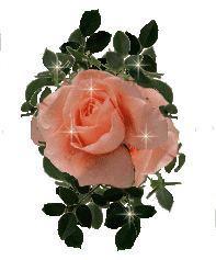 Roses graphics