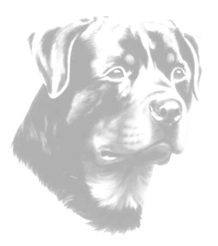 Rottweiler graphics