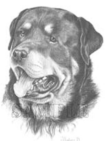 Rottweiler graphics