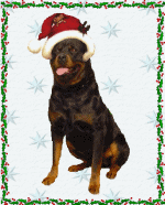 Rottweiler graphics