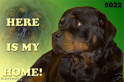 Rottweiler graphics