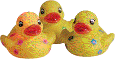 Rubber duck graphics