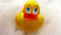 Rubber duck graphics