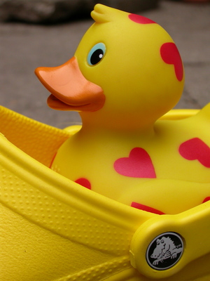 Rubber duck