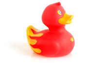 Rubber duck graphics