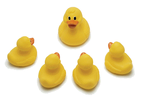 Rubber duck graphics