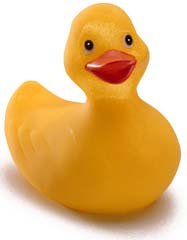 Rubber duck