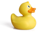 Rubber duck graphics