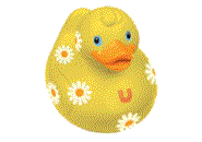 Rubber duck