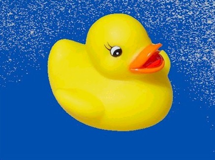 Rubber duck graphics