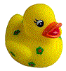 Rubber duck