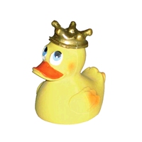 Rubber duck graphics