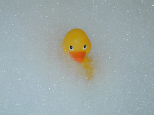 Rubber duck