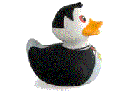 Rubber duck graphics