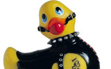 Rubber duck graphics