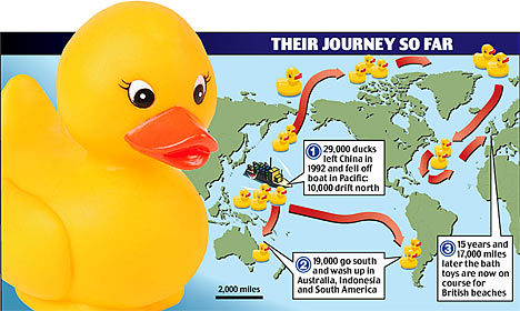 Rubber duck graphics