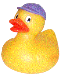 Rubber duck