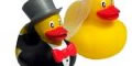 Rubber duck graphics