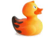 Rubber duck graphics